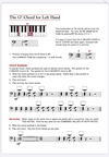 Thumbnail for Lesson 1 G Chord For The Left Hand